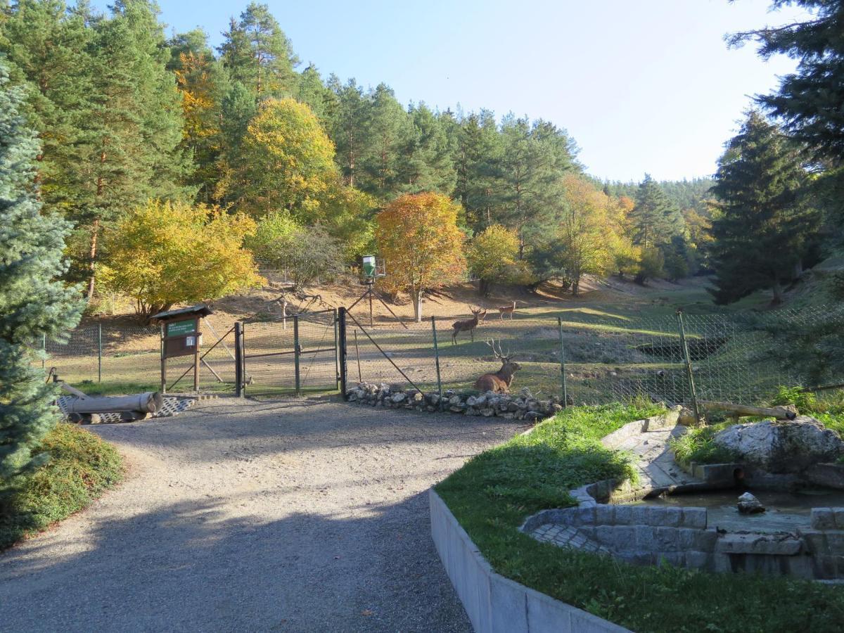 Отель Haus Sonnenwalde - Familie Ruhe Rohrbach  Экстерьер фото
